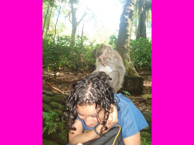The Monkeys were definitely not shy.