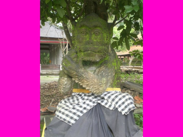 Hanuman reigns over his forest.