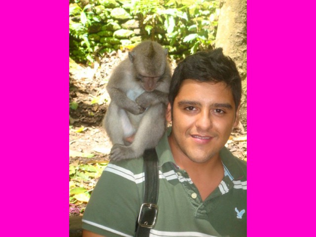 An Xahel having a close encounter with a Monkey Forest resident.