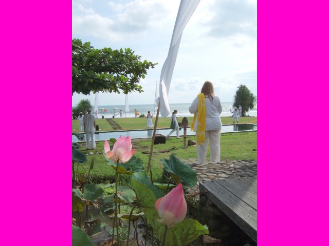 Blossoming Lotus flowers watched our ceremony with delight. 