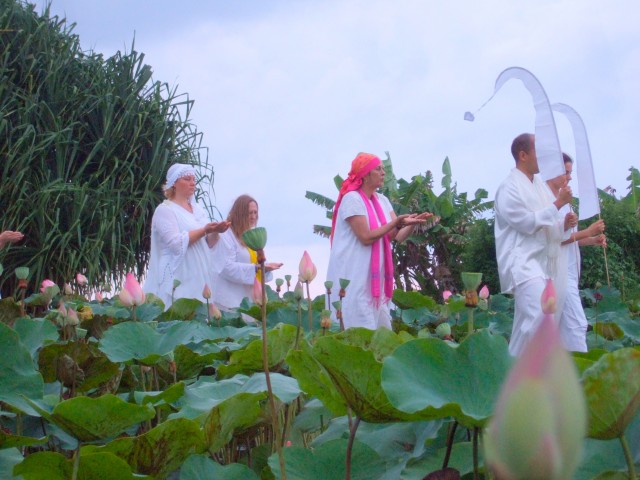 Surrounded by the most exquisite pink Lotuses.