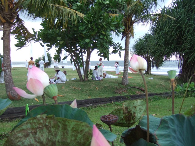 Lotus flowers were active participants in our Ninth Gate Ceremony.