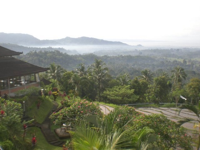 The exquisite beauty of Bali.